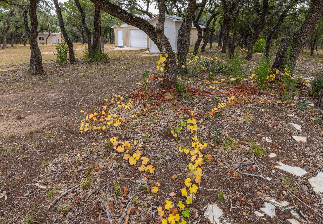 2501 Fischer Store Road Wimberley, TX 78676 - Photo 6 of 37 View of yard