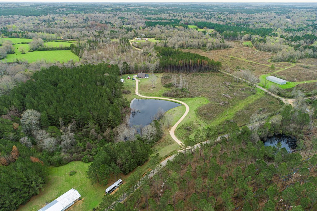 169 New River Road Tylertown, MS 39667 - Photo 2 of 34 Photo 2