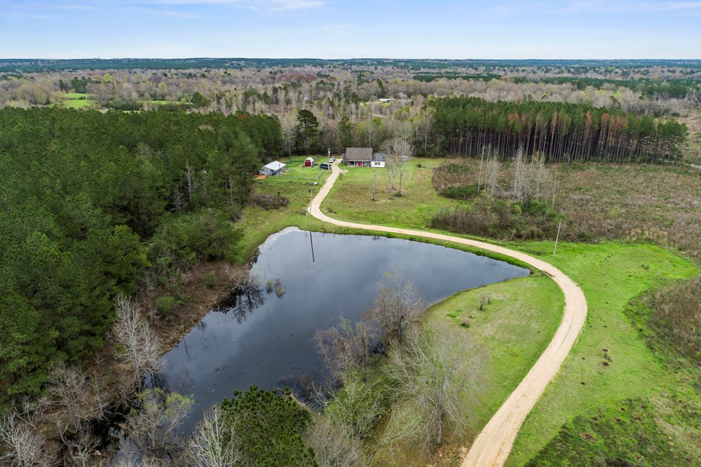 169 New River Road Tylertown, MS 39667 - Photo 3 of 34 Photo 3