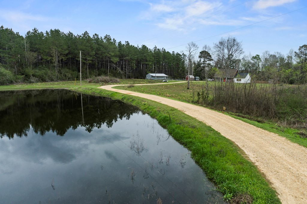 169 New River Road Tylertown, MS 39667 - Photo 4 of 34 Photo 4