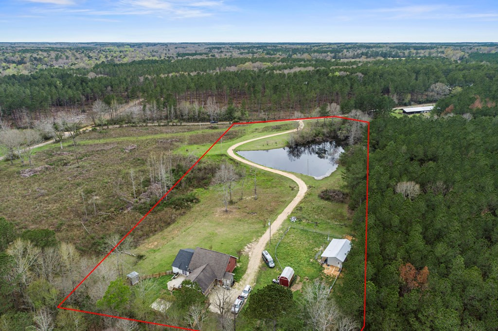 169 New River Road Tylertown, MS 39667 - Photo 6 of 34 Photo 6