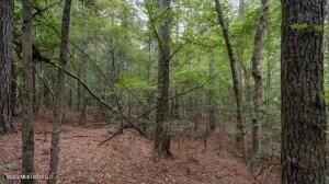 633 Lowhead Dam Road Lena, MS 39094 - Photo 1 of 1 Trees