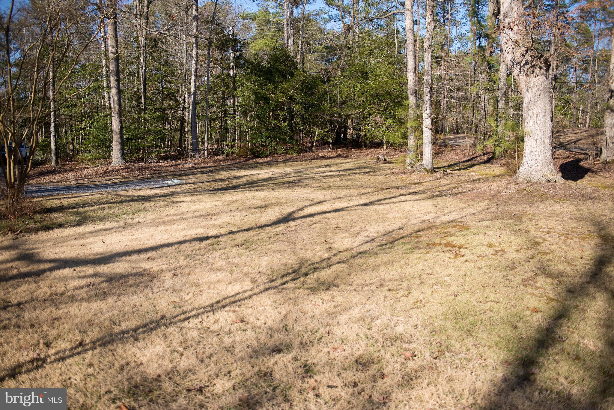 22261 Point Lookout Road Leonardtown, MD 20650 - Photo 32 of 33 View of front yard from the house.