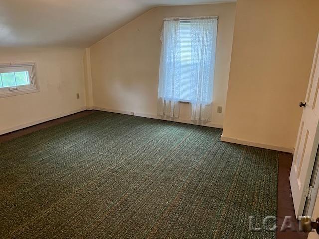 1010 West Valley Road Adrian, MI 49221 - Photo 14 of 42