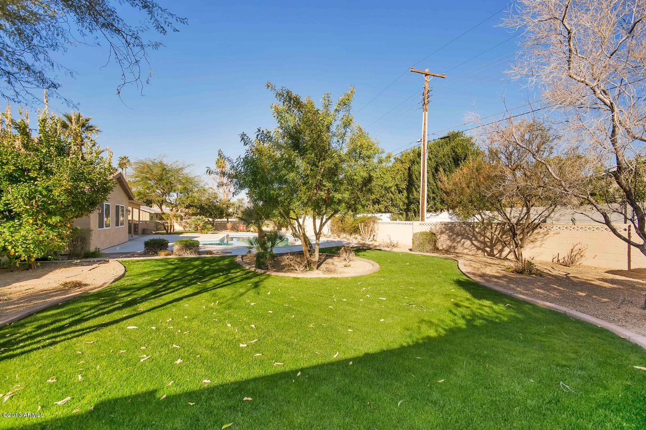 3434 East Camelback Road Phoenix, AZ 85018 - Photo 30 of 31 Backyard 3
