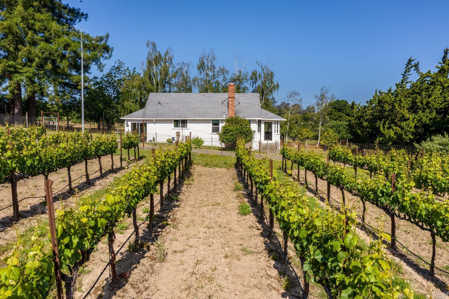 7809 Kennedy Road Sebastopol, CA 95472 - Photo 1 of 1