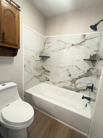 a bathroom with a toilet and a bathtub