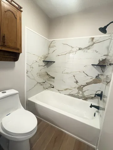 a bathroom with a toilet and a bathtub