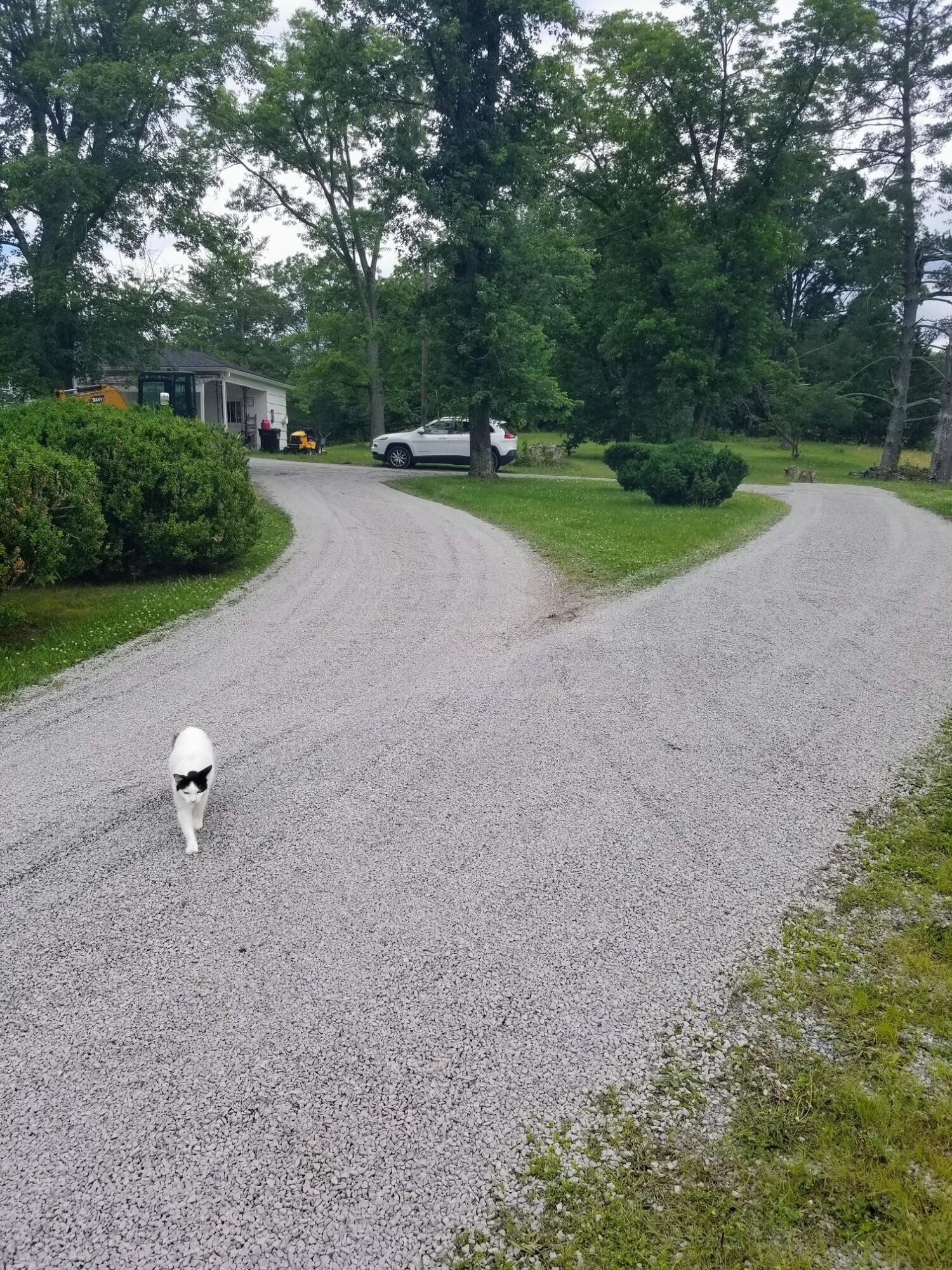 919 John Burch Road West Dunlap, TN 37327 - Photo 35 of 66