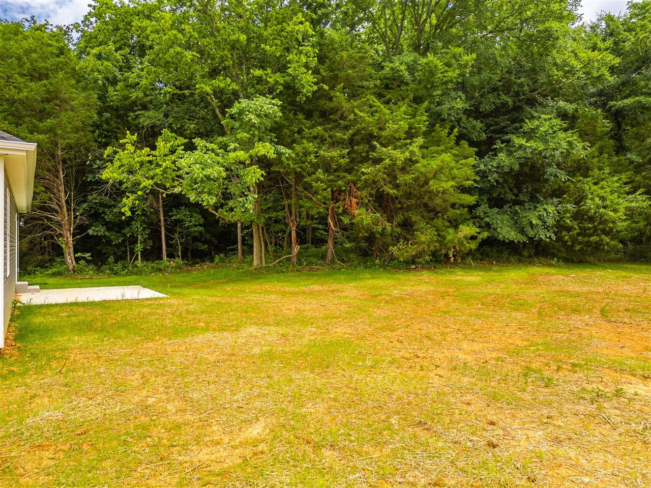 2524 Mt Sharon Road Sharon Grove, KY 42280 - Photo 46 of 47 Gallery Image 46