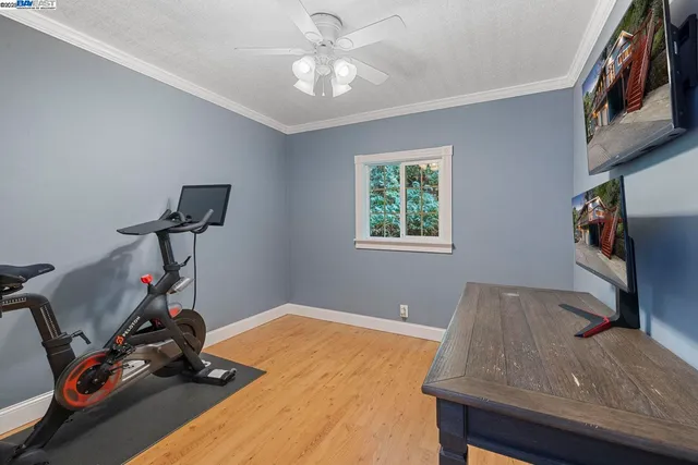 a living room with furniture rug and a window