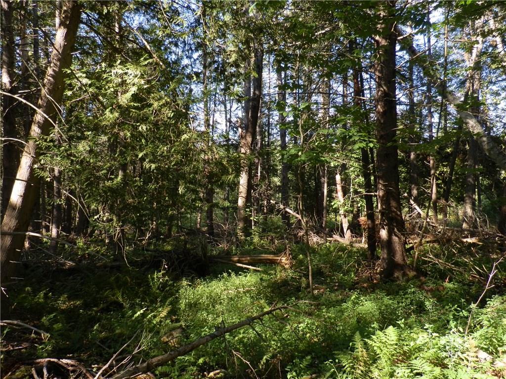 0 Copeland Hill Road Bangor, ME 04401 - Photo 12 of 19 Photo