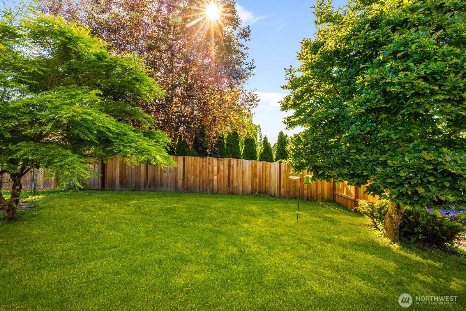 1002 South Adams Street Tacoma, WA 98405 - Photo 30 of 40 a view of a yard with large trees and wooden fence