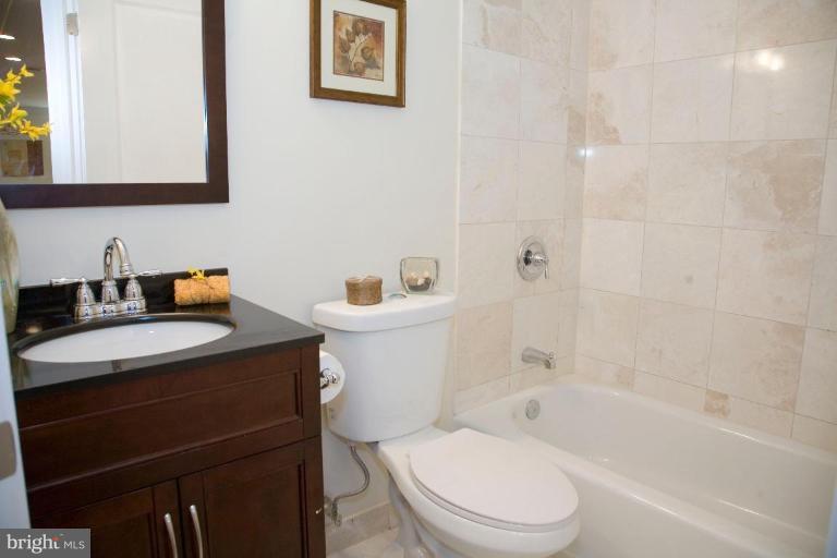 308 9th Street Southeast Washington, DC 20003 - Photo 13 of 18 Bath #3