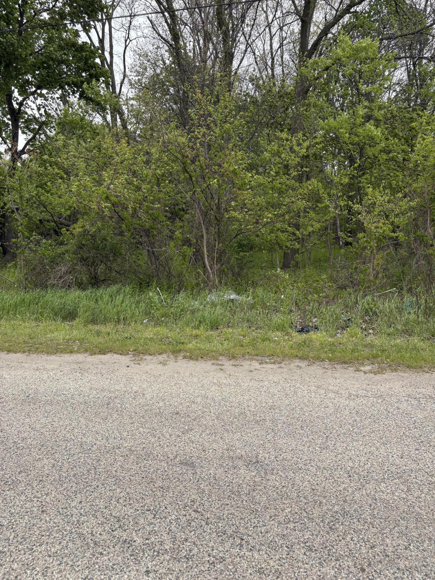 West Territorial Road Battle Creek, MI 49015 - Photo 5 of 5 woodrow side