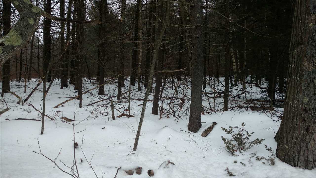 0 Old Ashburnham Road Rindge, NH 03461 - Photo 3 of 3