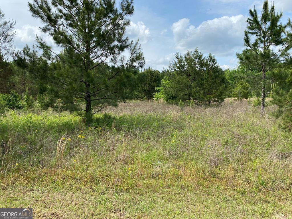 1001 Holliday Road Dublin, GA 31021 - Photo 2 of 5 a view of river covered with trees