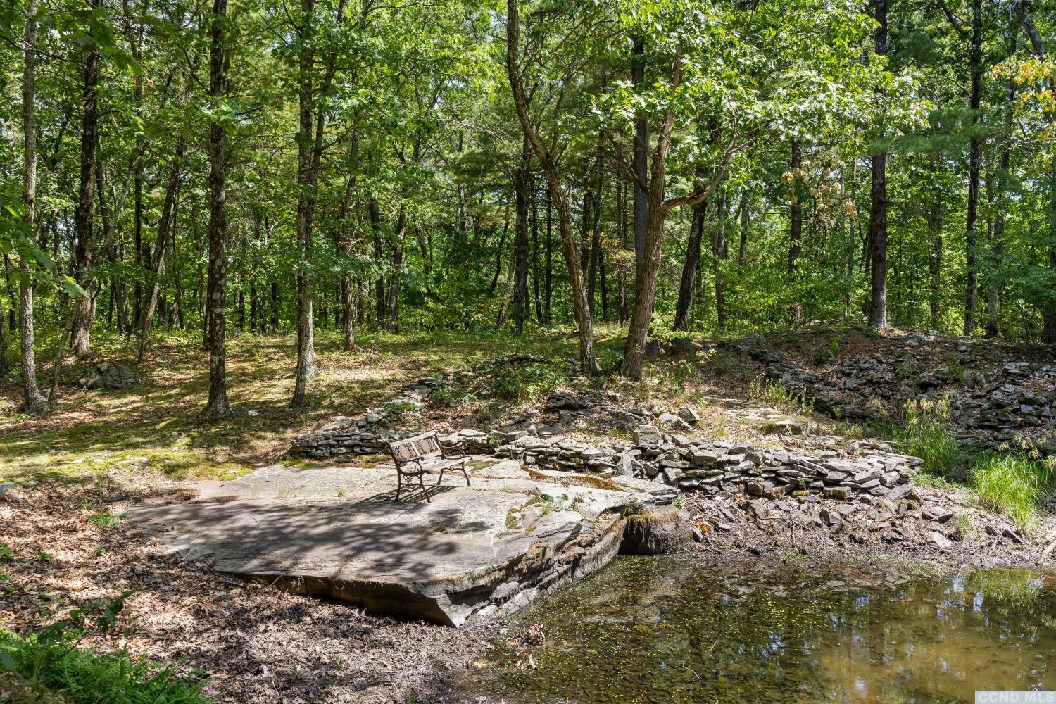 75 Sullivan Mt Road Catskill, NY 12414 - Photo 14 of 27 a view of a forest with trees in the background