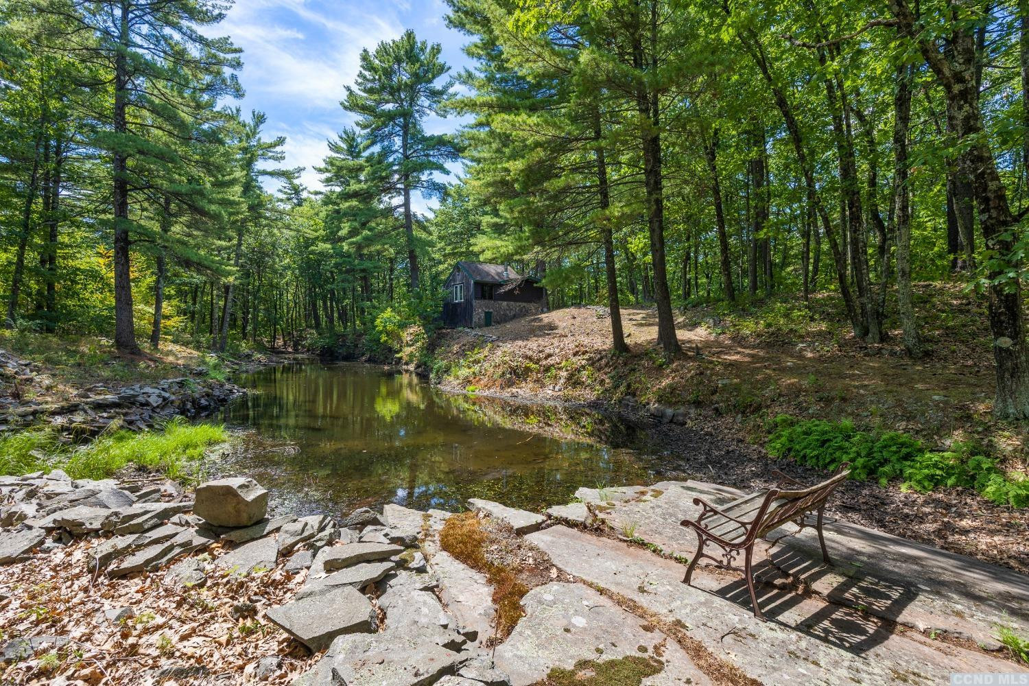 75 Sullivan Mt Road Catskill, NY 12414 - Photo 15 of 27 a view of a lake with large trees