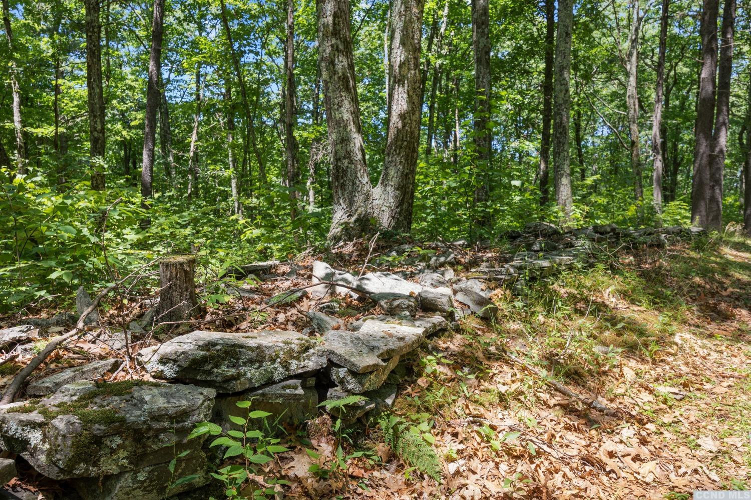 75 Sullivan Mt Road Catskill, NY 12414 - Photo 18 of 27 a view of a forest with trees