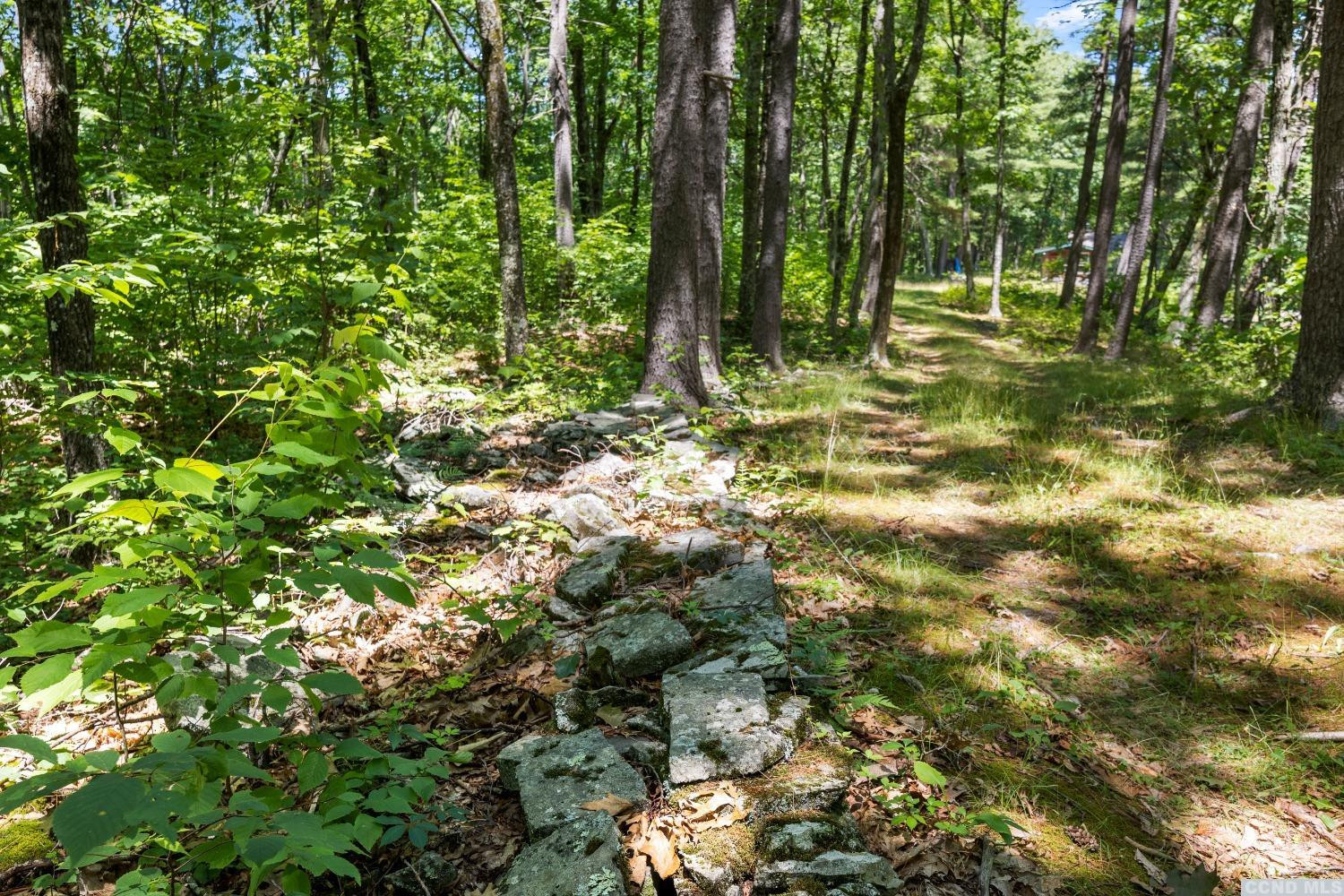 75 Sullivan Mt Road Catskill, NY 12414 - Photo 19 of 27 a view of forest