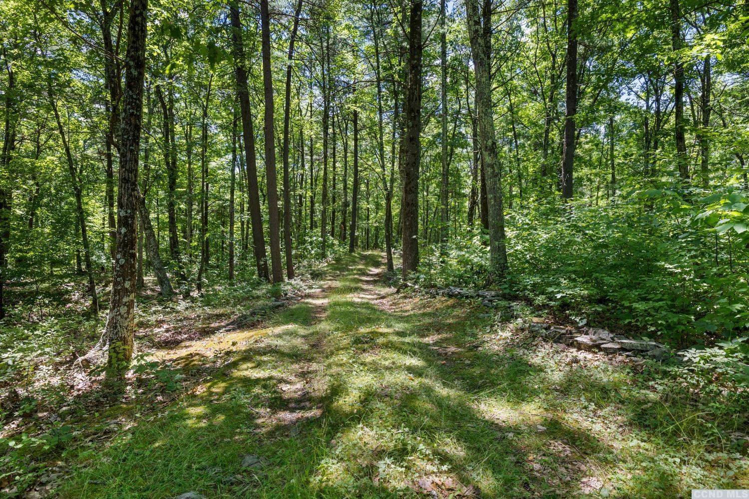 75 Sullivan Mt Road Catskill, NY 12414 - Photo 21 of 27 a view of outdoor space and green space