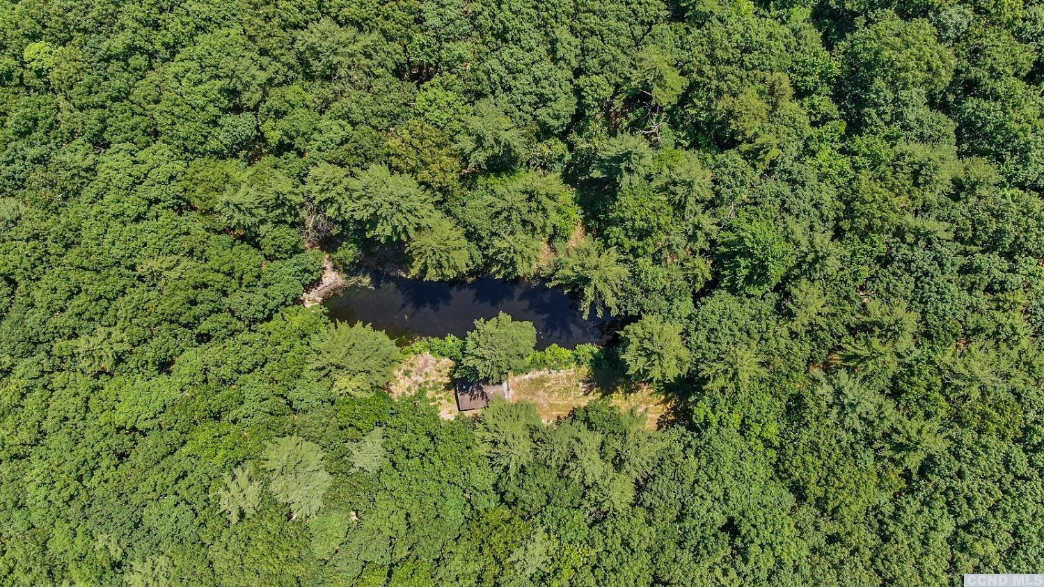 75 Sullivan Mt Road Catskill, NY 12414 - Photo 22 of 27 a view of a yard