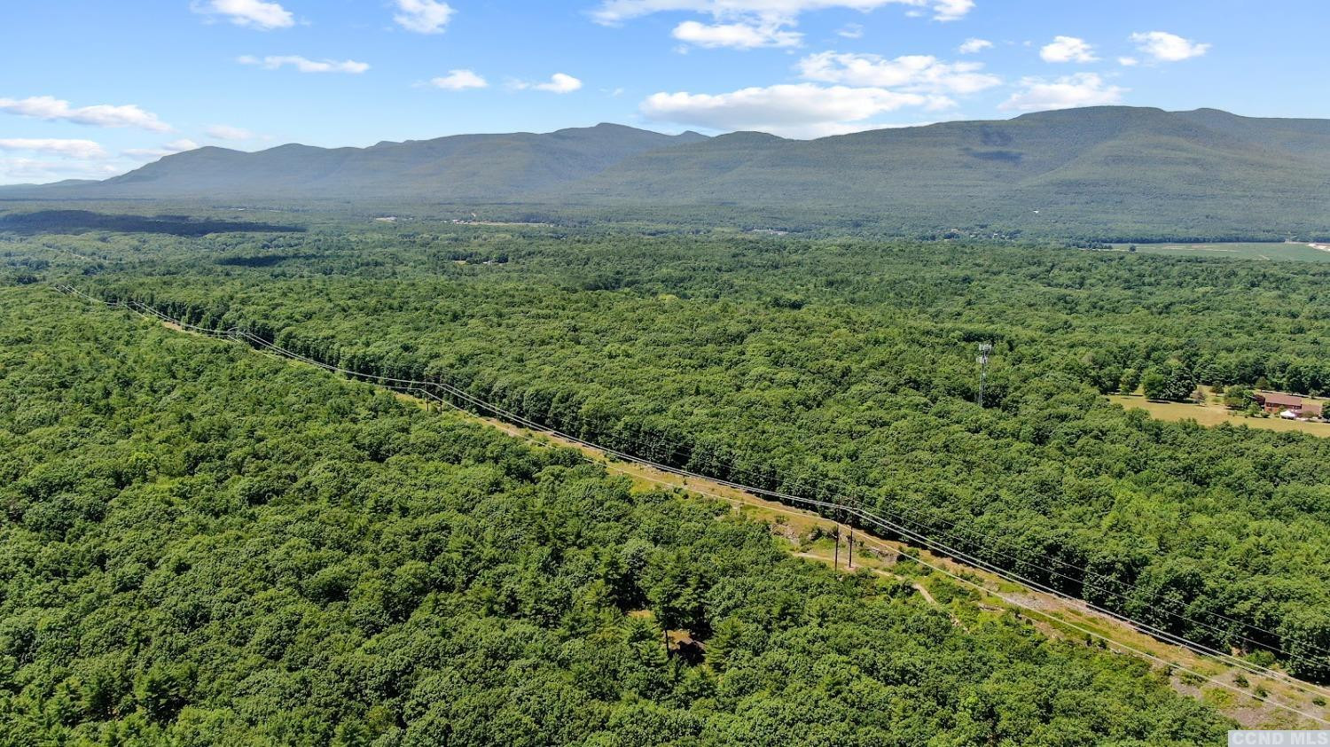 75 Sullivan Mt Road Catskill, NY 12414 - Photo 23 of 27 a view of a lush green hillside and a mountain view
