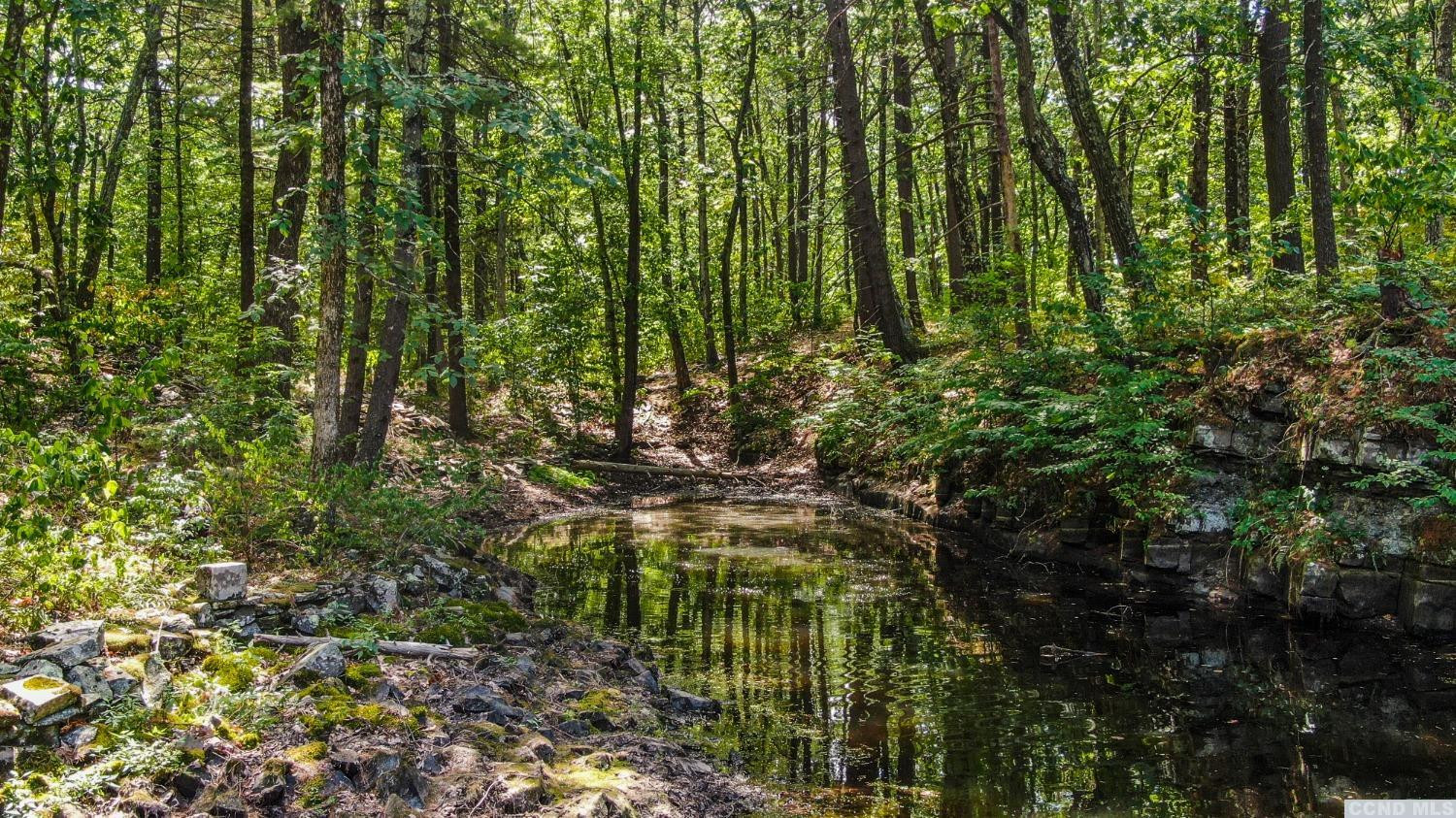 75 Sullivan Mt Road Catskill, NY 12414 - Photo 24 of 27 a view of yard