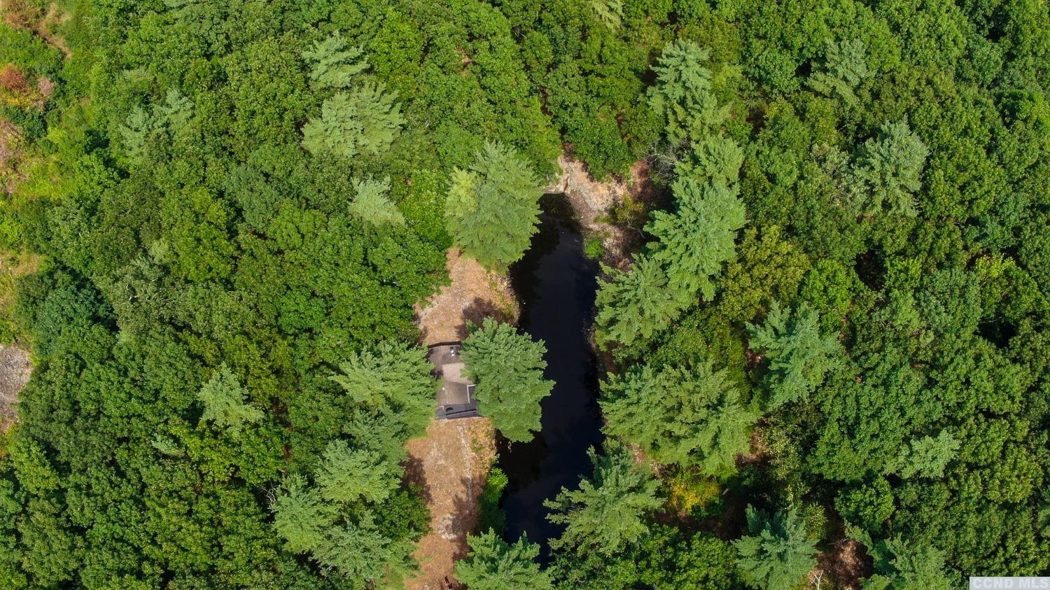 75 Sullivan Mt Road Catskill, NY 12414 - Photo 26 of 27 a view of a garden