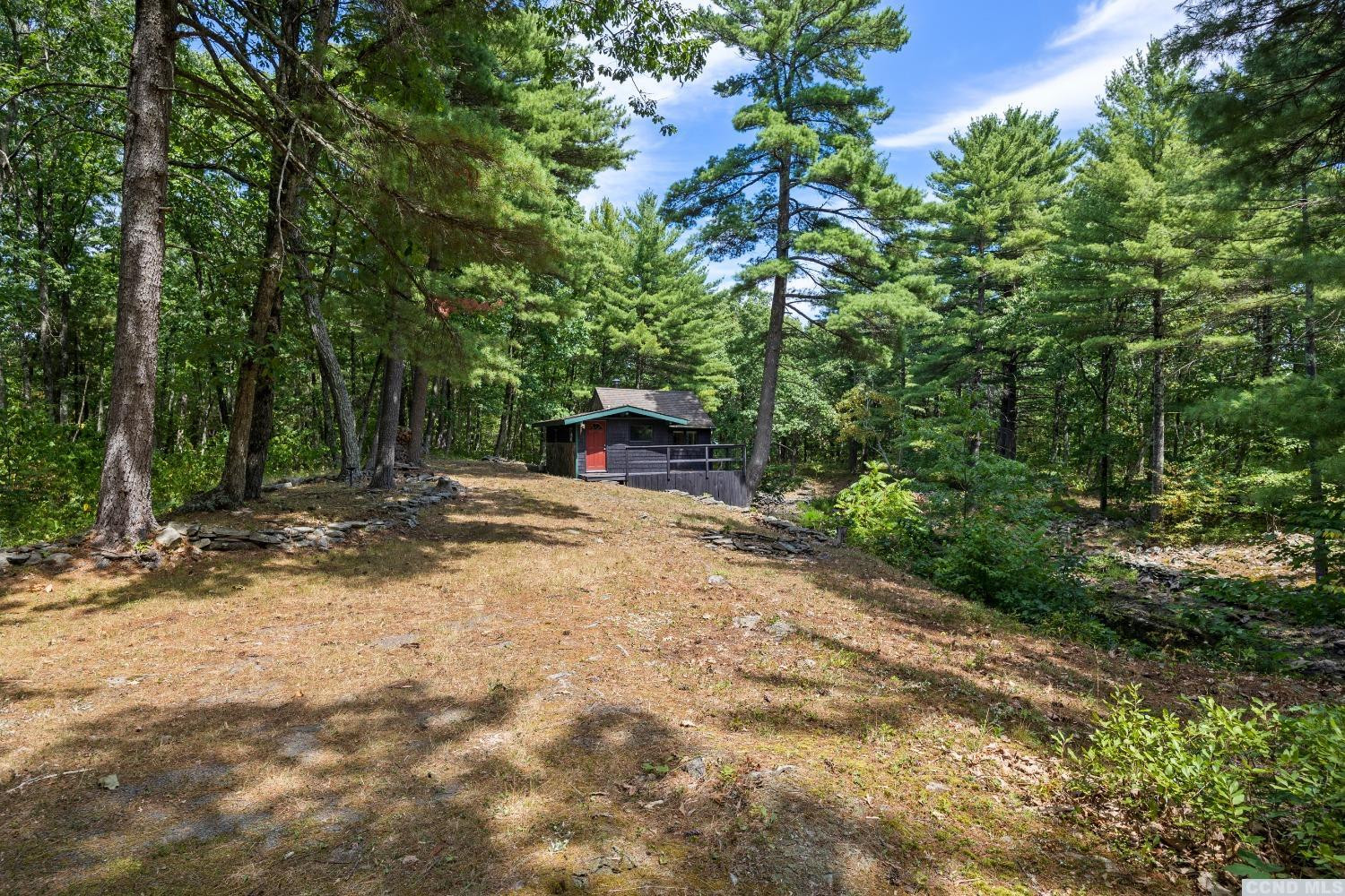 75 Sullivan Mt Road Catskill, NY 12414 - Photo 6 of 27 a view of a yard with plants and trees
