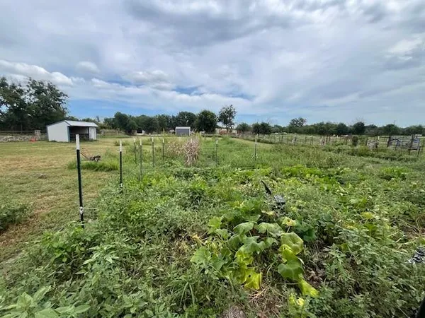a view of a garden from a yard