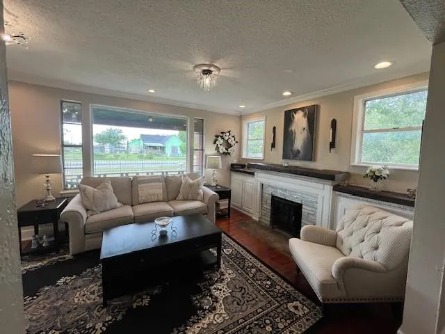 a living room with furniture and a fireplace