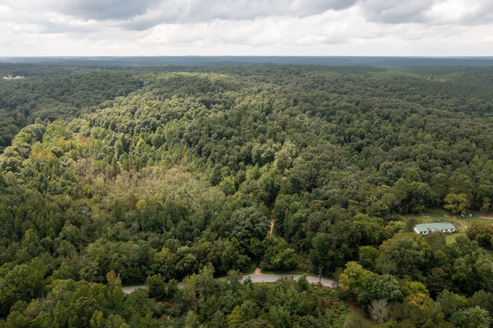 694 Napier Road Hohenwald, TN 38462 - Photo 3 of 7 an aerial view of forest