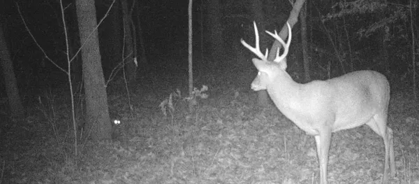 $211,702 | 694 Napier Road, Hohenwald, TN 38462