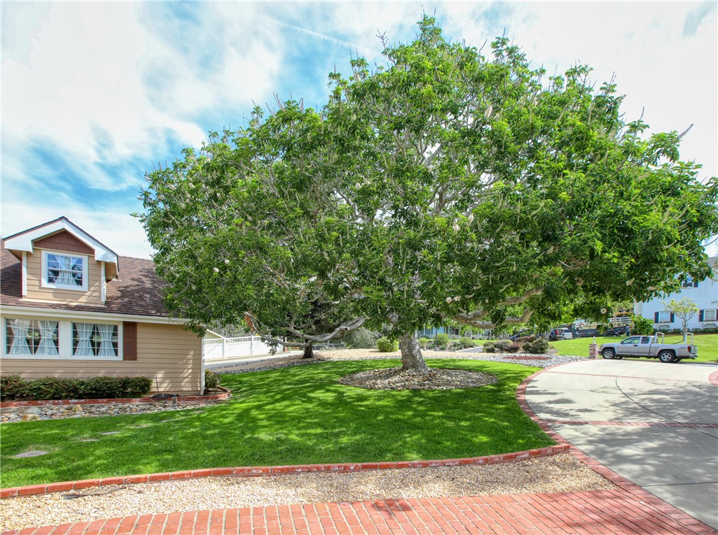 350 Corbett Canyon Road Arroyo Grande, CA 93420 - Photo 52 of 66 a view of a house with a yard