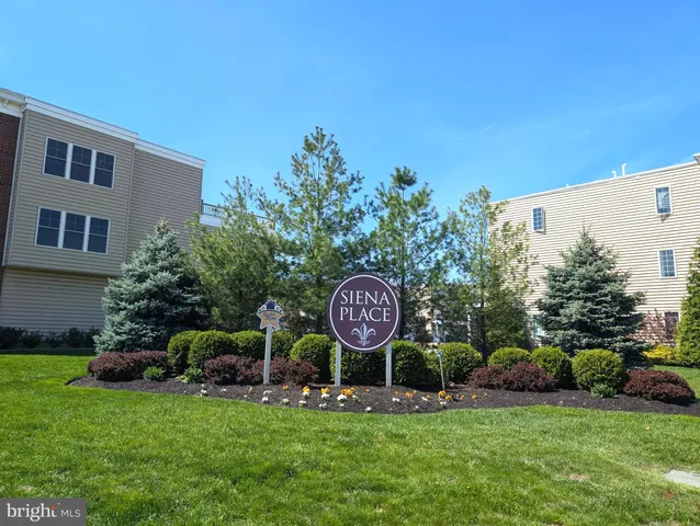 a area with lots of trees in the background