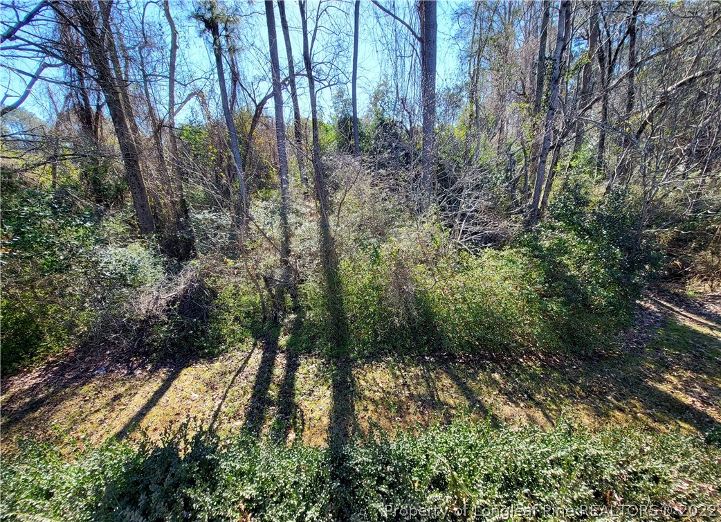 5066 Summer Ridge Road Fayetteville, NC 28303 - Photo 35 of 35