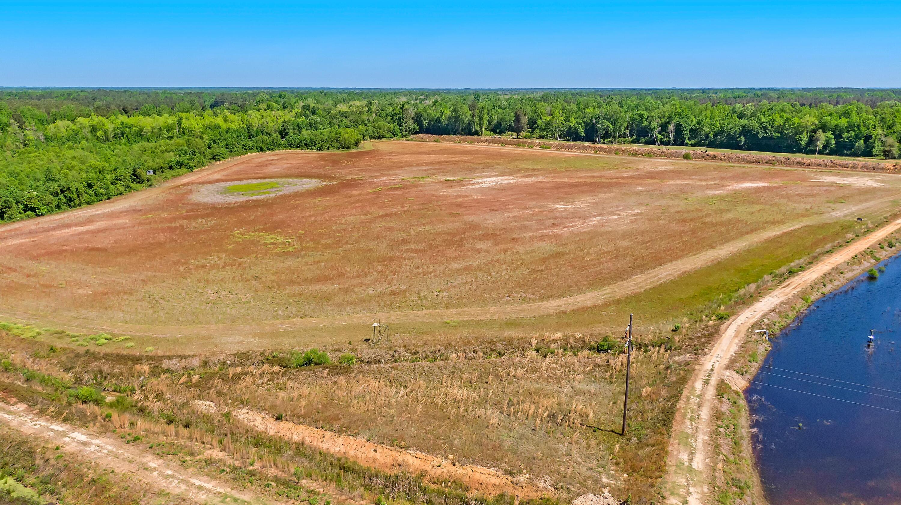 1802 Nesbit Road Manning, SC 29102 - Photo 22 of 74 CREM_1802 Nesbit Rd_021