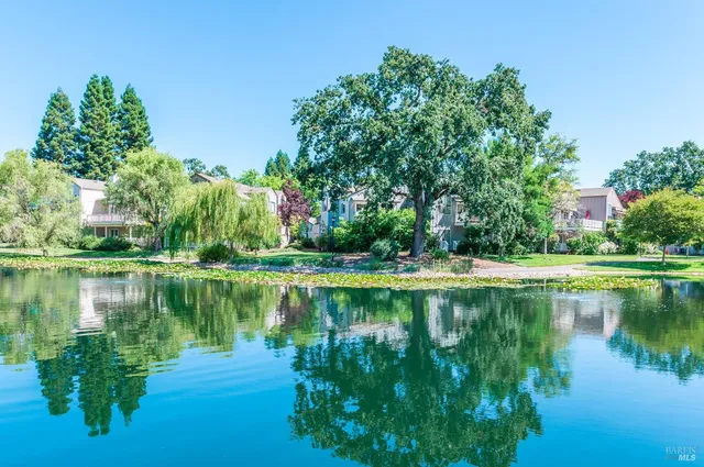 a view of a lake with a yard and large trees