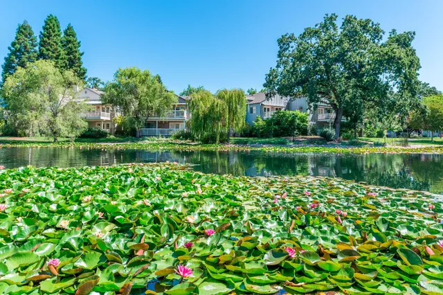 a view of a lake with a big yard