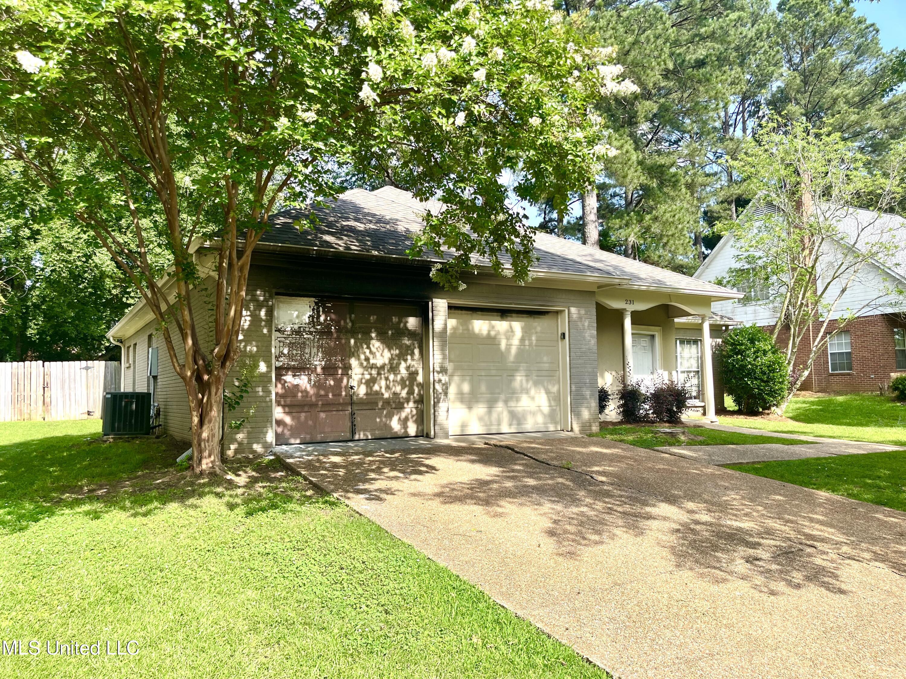 231 Clark Farms Road Madison, MS 39110 - Photo 2 of 19 IMG_6544