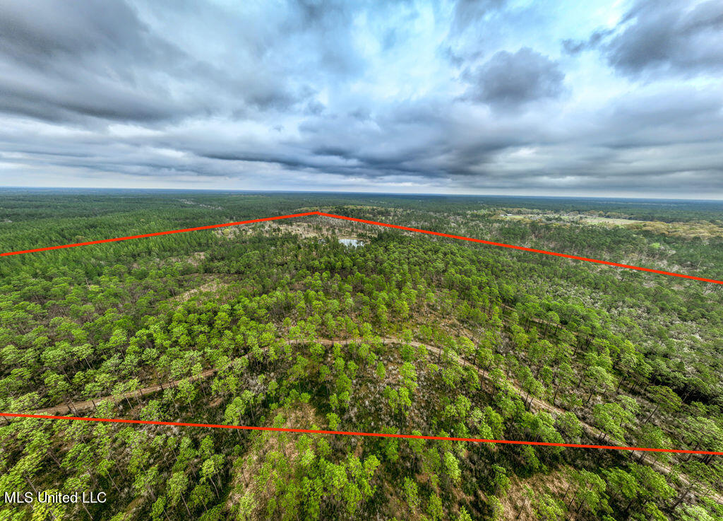 15429 Indian Fork Road Vancleave, MS 39565 - Photo 58 of 63 Arial of Land