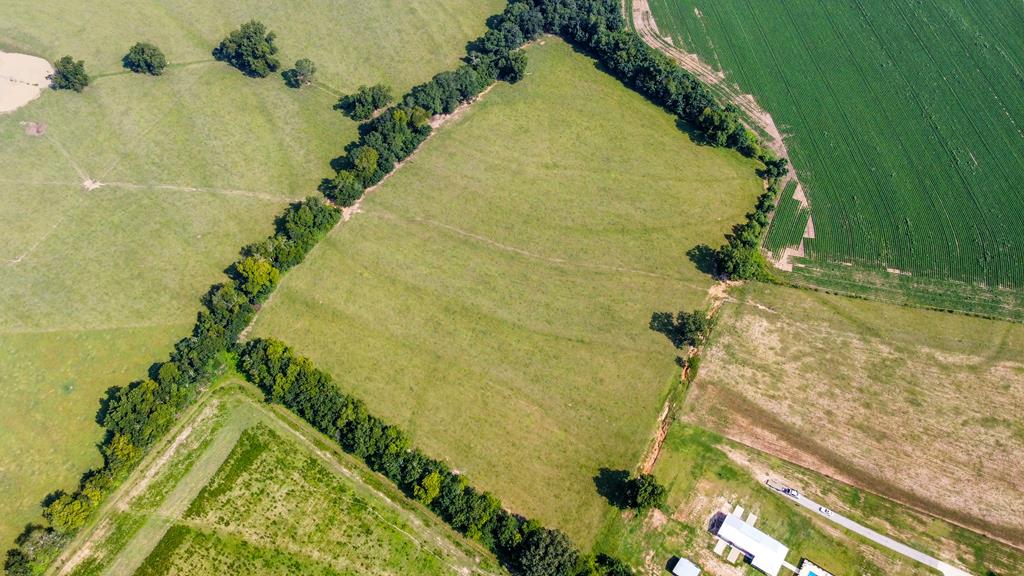 0 Dover Road Dothan, AL 36303 - Photo 4 of 4