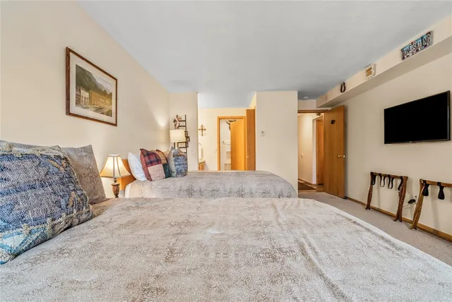 a bed room with a bed and a television