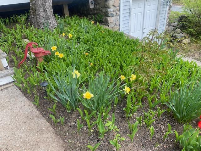 923 Quaker Ridge Road Casco, ME 04015 - Photo 27 of 31 casco 17