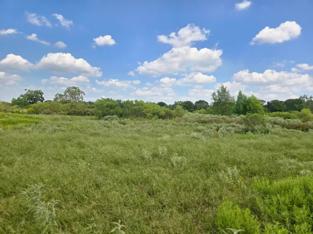 a view of a city and a lot of trees