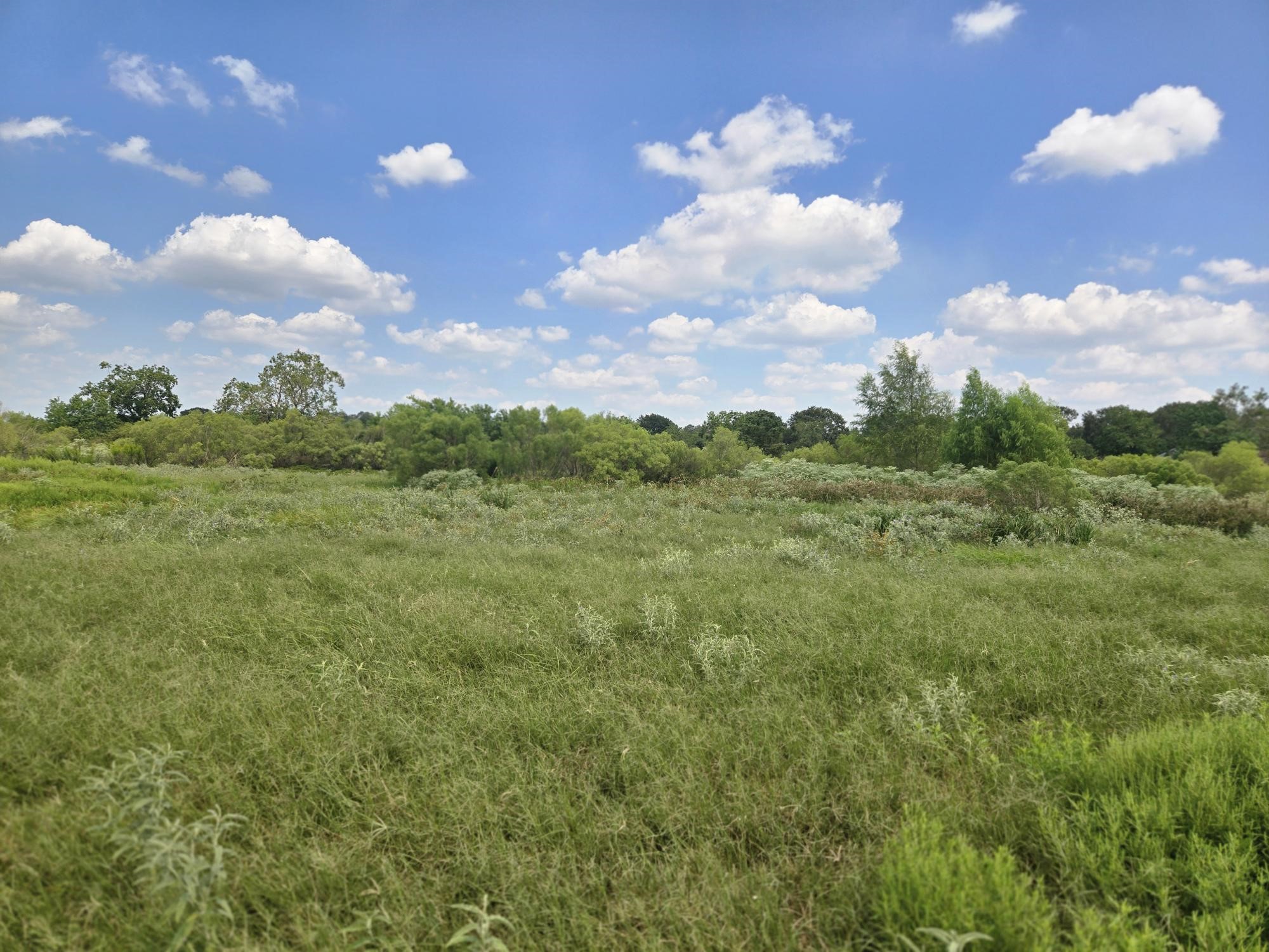 575 North Austin Road Eagle Lake, TX 77434 - Photo 12 of 17