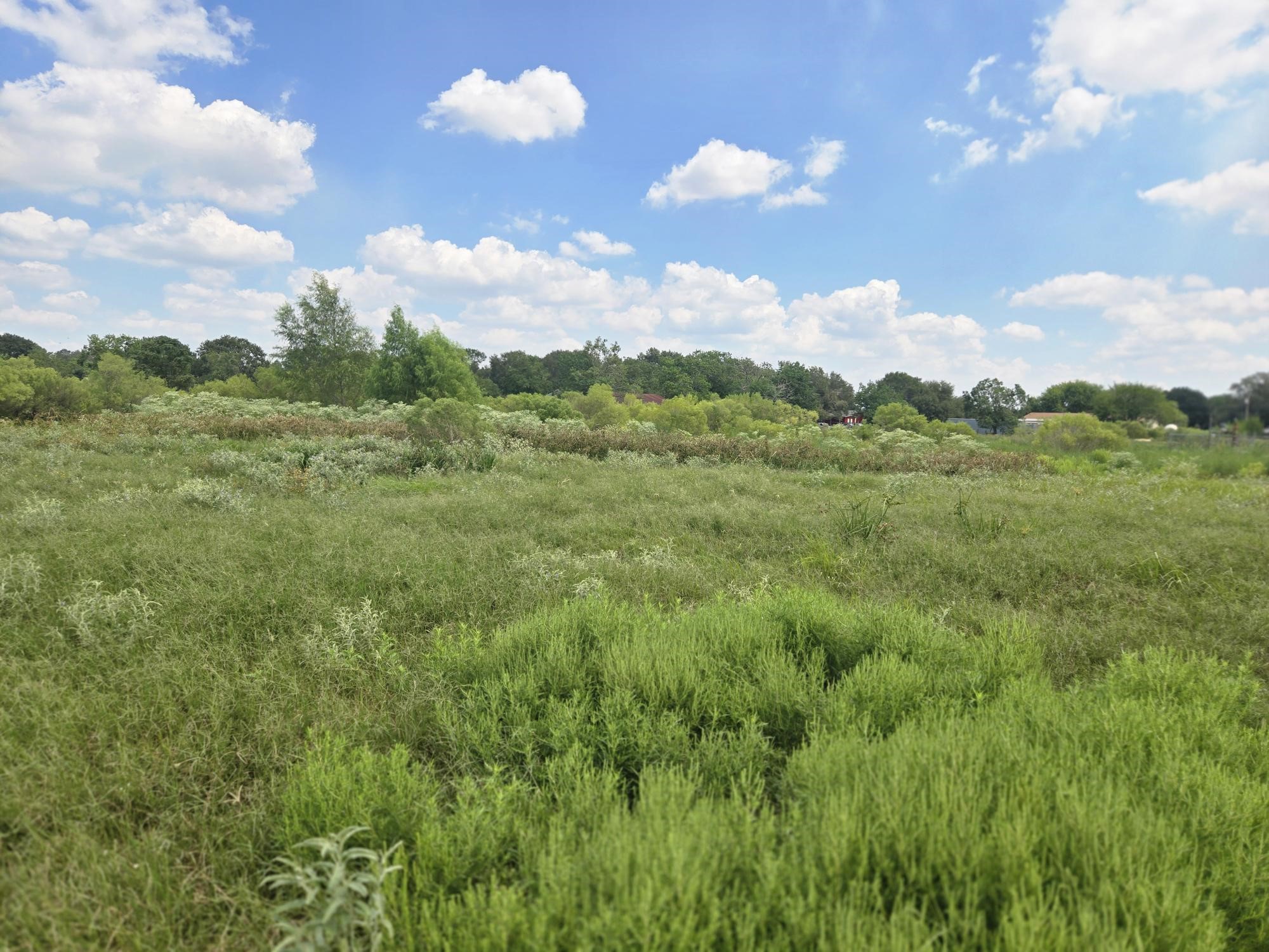 575 North Austin Road Eagle Lake, TX 77434 - Photo 13 of 17