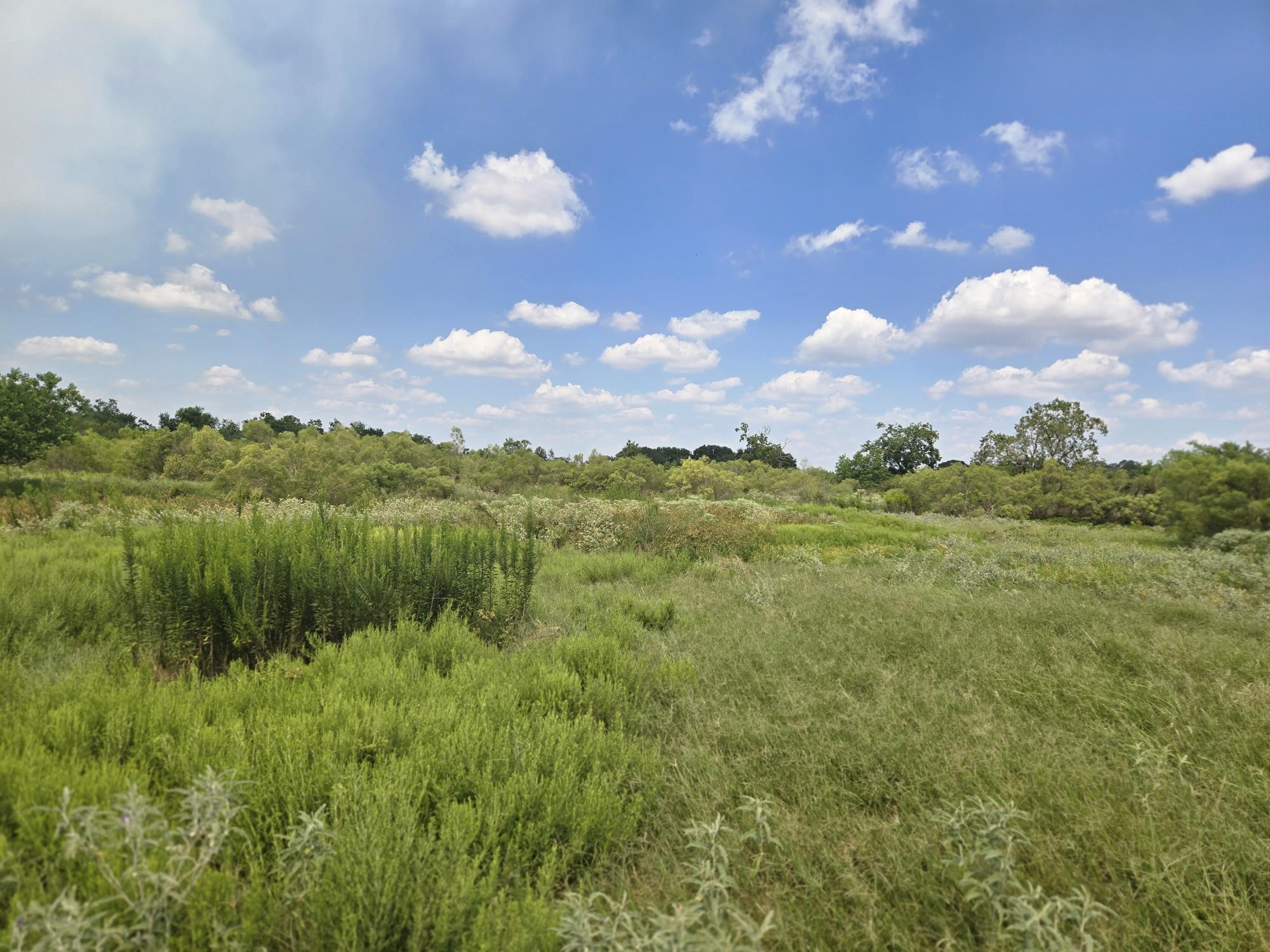 575 North Austin Road Eagle Lake, TX 77434 - Photo 14 of 17